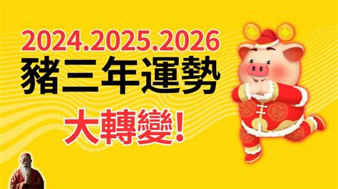 屬豬佩戴飾物|2024豬年開運色速查